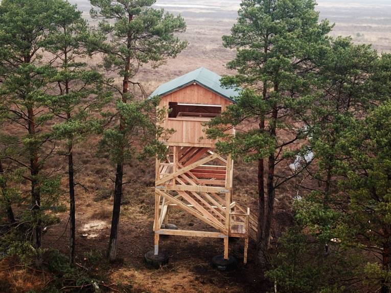Ein Turm aus Holz in einer Moorlandschaft